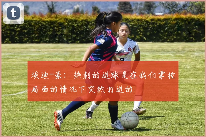 埃迪-豪：热刺的进球是在我们掌控局面的情况下突然打进的